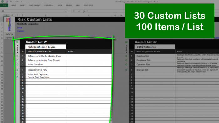 Risk Template in Excel®: 30 Custom Lists with 100 Items Each