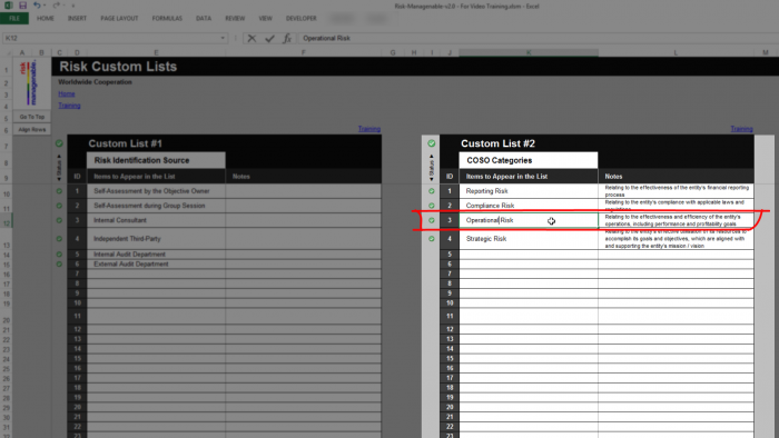 Risk Template in Excel - Custom List Item Correction